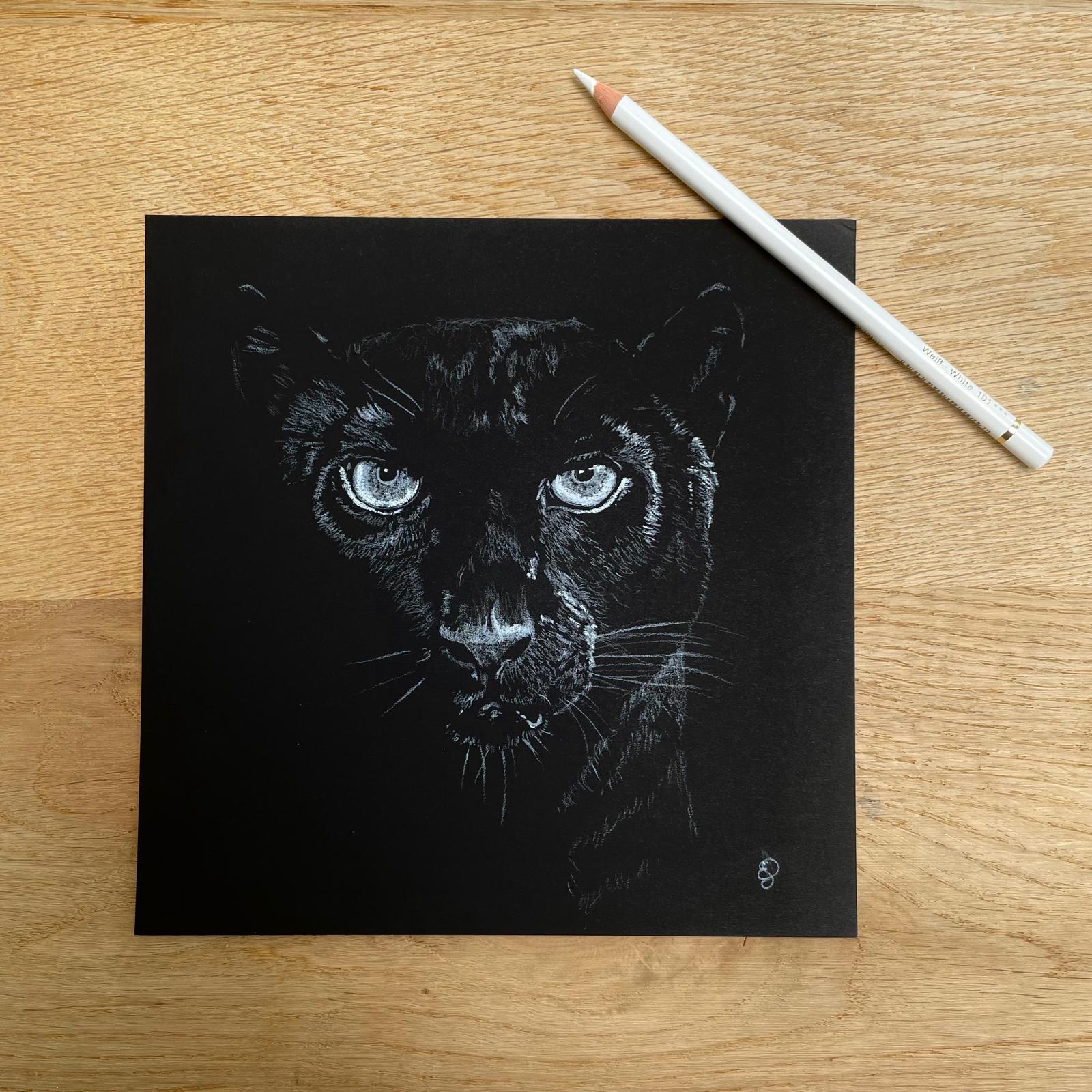 Persoonlijke Illustratie 2